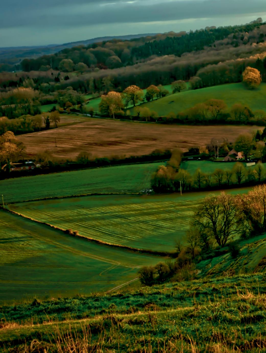 Page Background